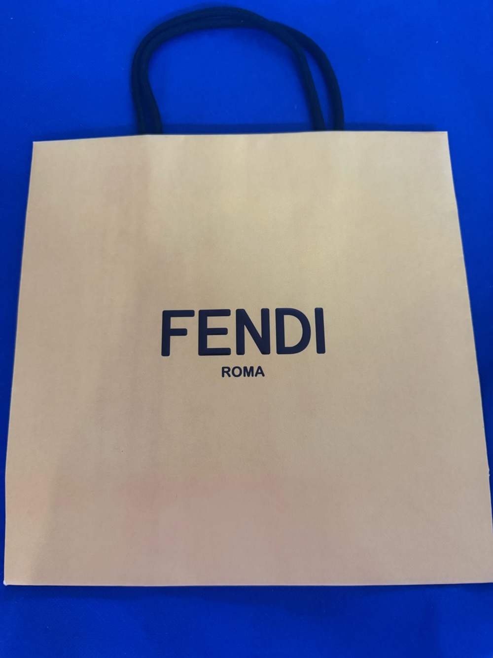 Fendi 💯% Authentic iconic luxury paper shopping bag. Like New Ideal for gifting